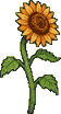 A pixel-art sunflower